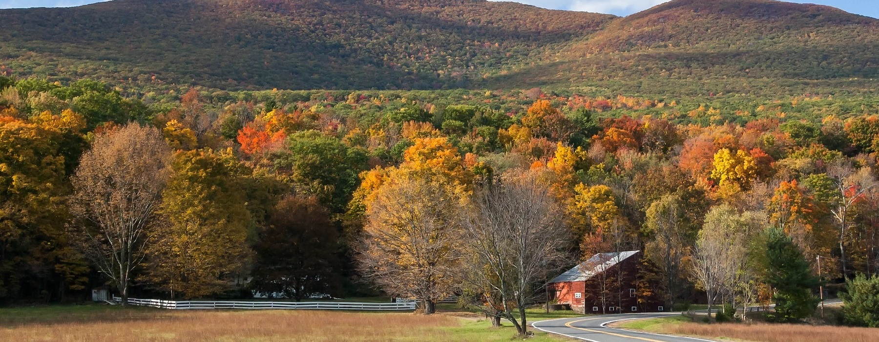 Business man under an umbrella