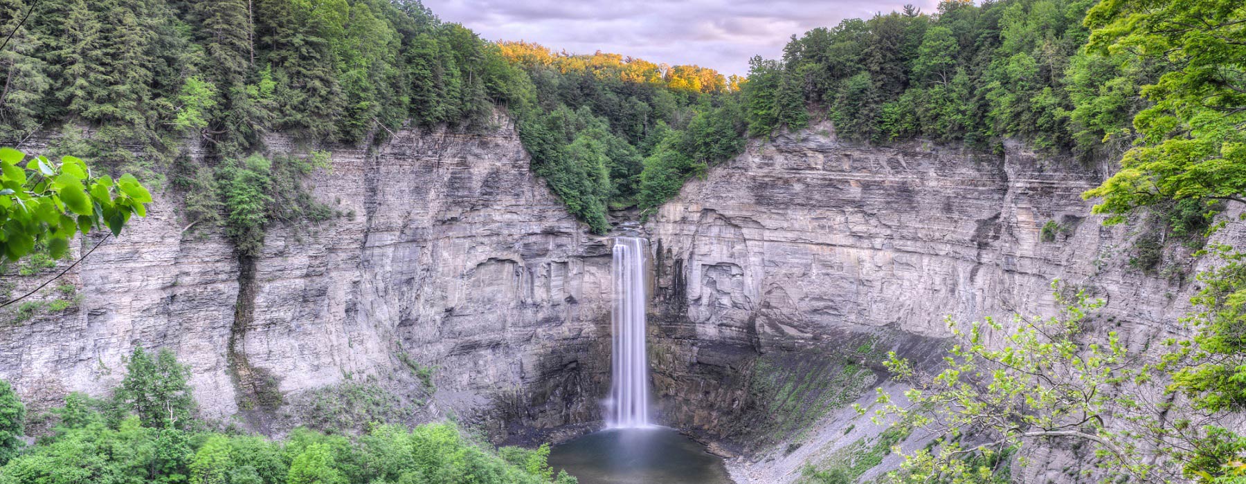 Business man under an umbrella